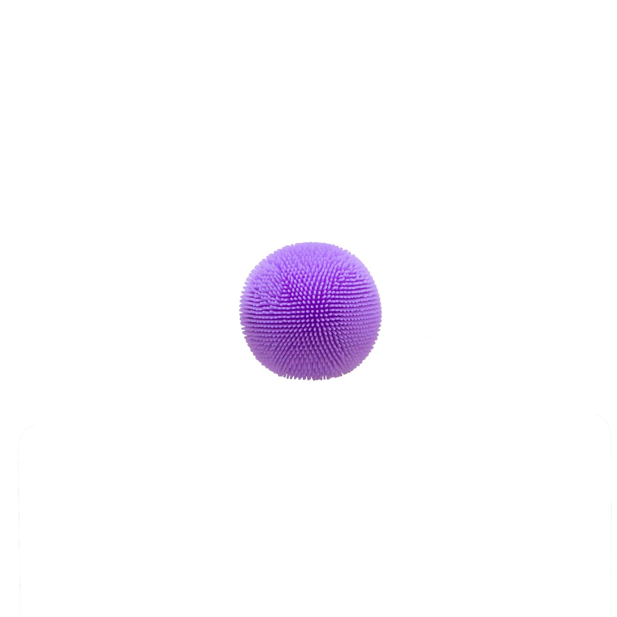 MPFZBND_Image7